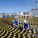 바다세상 이미지