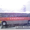 나성관광여행사 이미지