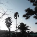 야자수정원 이미지