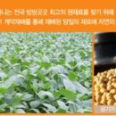 참새식품 이미지