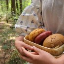 소풍오는 집 이미지