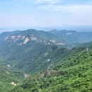 계룡산 Daum카페