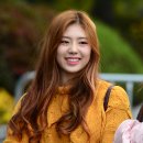 샌디 이미지