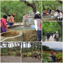 함양사과축제 & 마천 지리산흑돼지축제 힐링버스여행 이미지