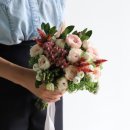 디자인로코코 이미지
