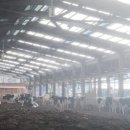 동복목장 이미지