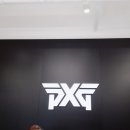 피엑스지강남도산