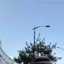 디에스실용음악학원 - 동작구 사당로26길 38 | 디에스실용음악학원