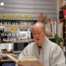 꼬시아 네이버블로그