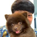 지리산동물병원 이미지