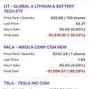 내가 가진 주식 종목 단 세개: LIT, NKLA, TSLA 이미지
