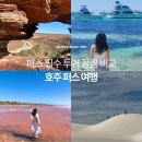 주식회사 건축사사무소민 | 호주 퍼스 여행에서 뭐하지? 퍼스 여행 필수 투어 정리! 투어사 별 꼼꼼 비교