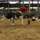 영채농장 이미지