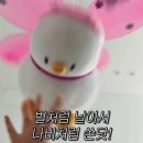 크로스핏 아케이드 이미지