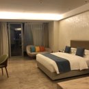 칵투스 아일랜드 이미지