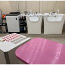 일산애견호텔 강아지 유치원 미용 맘바이 일산점 이미지