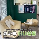 전주 효자동 전주대 근처 속눈썹펌 가능한 뷰티샵 티나살롱 후기(짧은 시술 시간)
