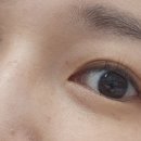 안경나라사창점 위드렌즈 이미지