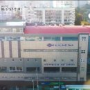 대영 스포렉스 이미지