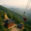 2월14일(토)~17일,구미시,김천,대구,창녕우포늪여행 이미지