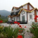 산따라 물따라 코스 이미지