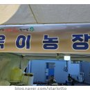 욱이농장 이미지