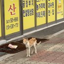 성환-08 이미지