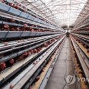 상승농장2 이미지