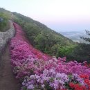통진현감부사선정비 | 경기옛길 강화길 제4길 한남정맥길 : 통진성당 ~ 강화대교
