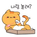 노랑고양이