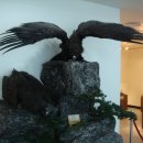 조류탐사과학관 이미지