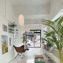 하비펫샵 이미지