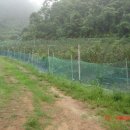 두현농장 이미지