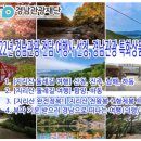 삼성관광여행사 이미지