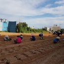 나운2동행정복지센터 이미지