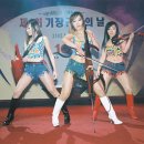 화이트폭스