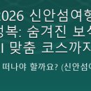 대광약국 | 2026 신안섬여행 완전정복: 숨겨진 보석부터 AI 맞춤 코스까지!