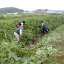 등원2리 이미지