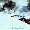 가재미로 이미지