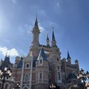 앨리스 in WONDERLAND | 디즈니랜드 - 할로윈] 정오부터 폐장까지 (2) - 캐리비안의 해적, 와이파이, 주토피아, 앨리스, 트론 찍먹