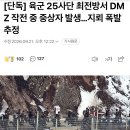 25사단 DMZ 작전 중 중상자 발생 지뢰 폭발 추정 이미지