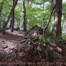 필리핀 참전비-미타원-최영장군묘-고양향교-공릉천-삼송역 이미지