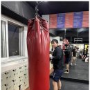 대한권투체육관 이미지