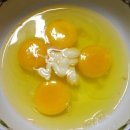요리정보/ 삼색 계란말이 만드는 방법 이미지