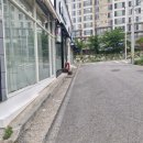 박마담헤어