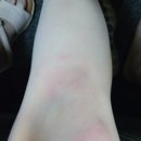 5959애견동반펜션 이미지