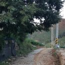 궁들농장 이미지