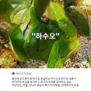 화산영농조합법인 이미지