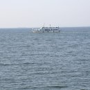 오이도종합어시장 이미지