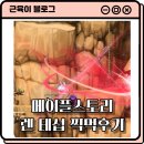 메이플스토리 신규 전사직업 렌 테스트서버 찍먹 후기